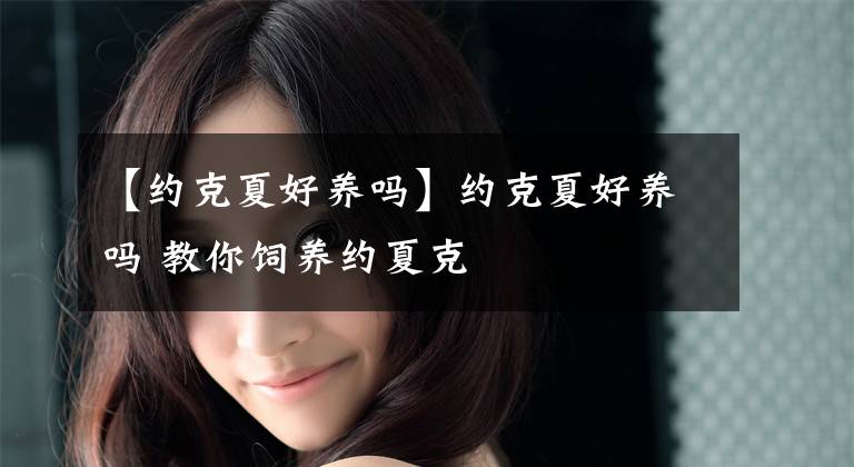 【约克夏好养吗】约克夏好养吗 教你饲养约夏克