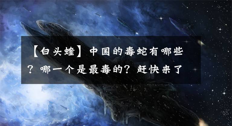 【白头蝰】中国的毒蛇有哪些？哪一个是最毒的？赶快来了解一下