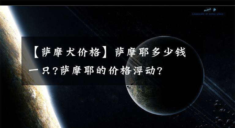 【萨摩犬价格】萨摩耶多少钱一只?萨摩耶的价格浮动?