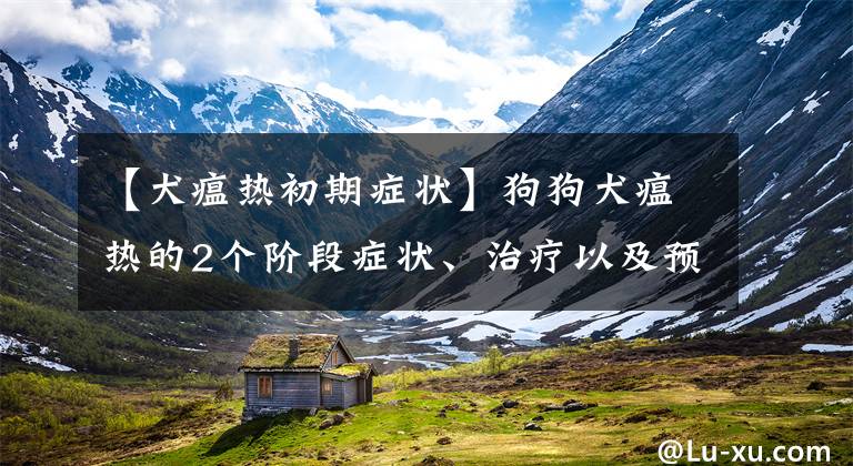 【犬瘟热初期症状】狗狗犬瘟热的2个阶段症状、治疗以及预防，你了解多少呢？