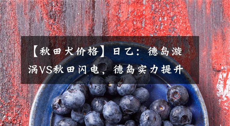 【秋田犬价格】日乙：德岛漩涡VS秋田闪电，德岛实力提升，秋田反击有声有色