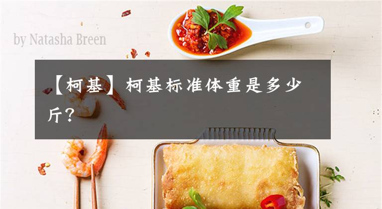 【柯基】柯基标准体重是多少斤?