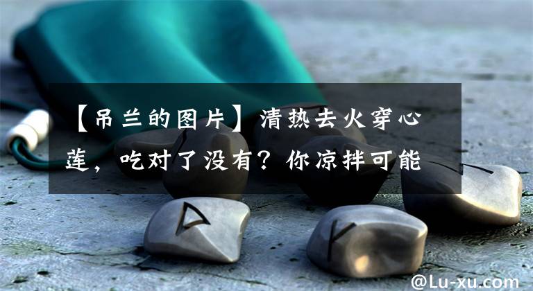 【吊兰的图片】清热去火穿心莲，吃对了没有？你凉拌可能是牡丹吊兰！