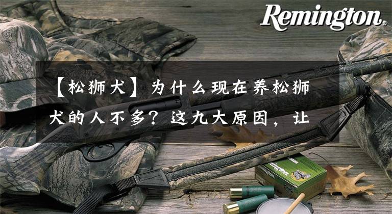 【松狮犬】为什么现在养松狮犬的人不多?这九大原因,让你不得不放弃