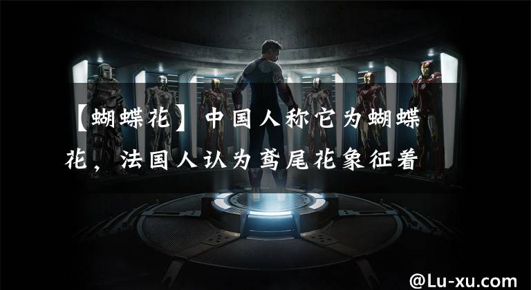 【蝴蝶花】中国人称它为蝴蝶花，法国人认为鸢尾花象征着光明与自由