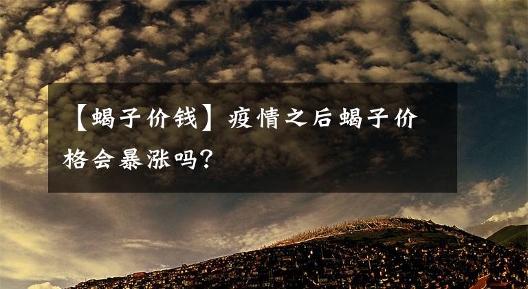 【蝎子价钱】疫情之后蝎子价格会暴涨吗?