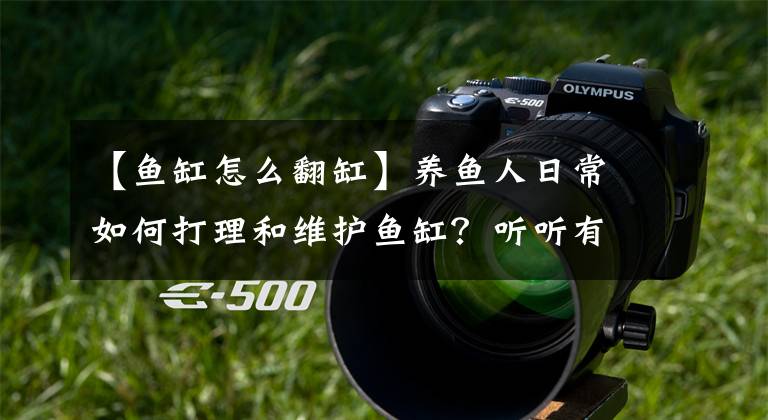 【鱼缸怎么翻缸】养鱼人日常如何打理和维护鱼缸?听听有10年经验的老鱼友怎么说