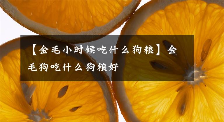 【金毛小时候吃什么狗粮】金毛狗吃什么狗粮好