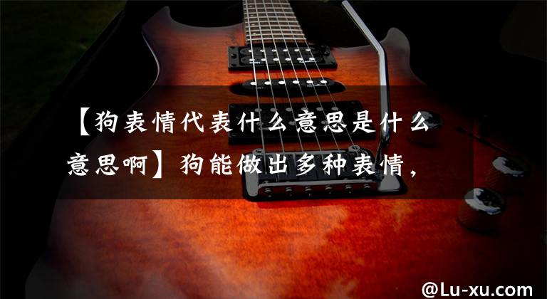 【狗表情代表什么意思是什么意思啊】狗能做出多种表情，你知道那种多种表情背后有什么意义吗？
