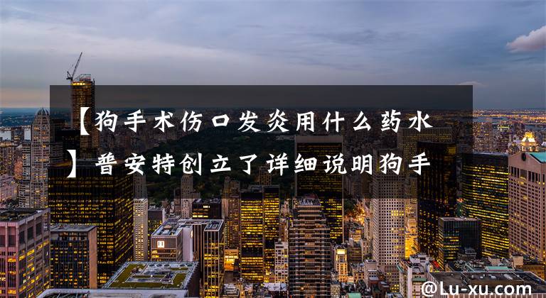 【狗手术伤口发炎用什么药水】普安特创立了详细说明狗手术后炎症症状。