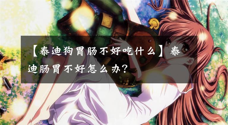 【泰迪狗胃肠不好吃什么】泰迪肠胃不好怎么办?