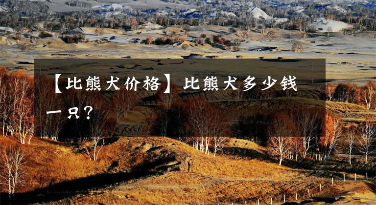 【比熊犬价格】比熊犬多少钱一只？