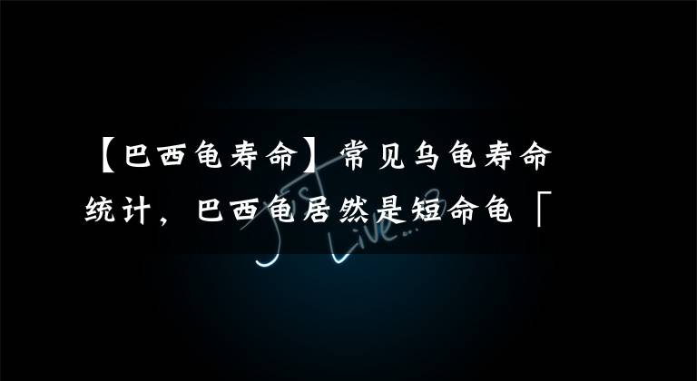 【巴西龟寿命】常见乌龟寿命统计，巴西龟居然是短命龟「龟谷鳖老」