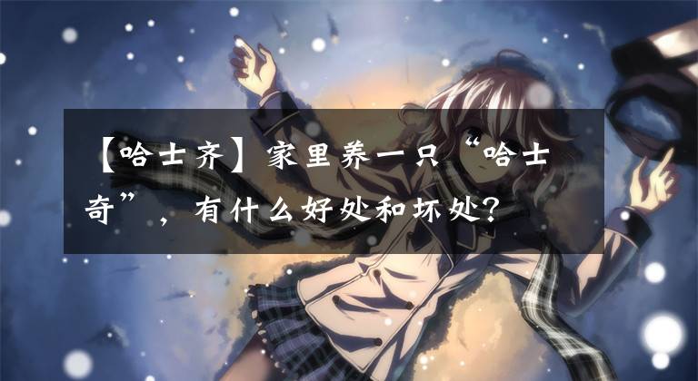 【哈士齐】家里养一只“哈士奇”,有什么好处和坏处?