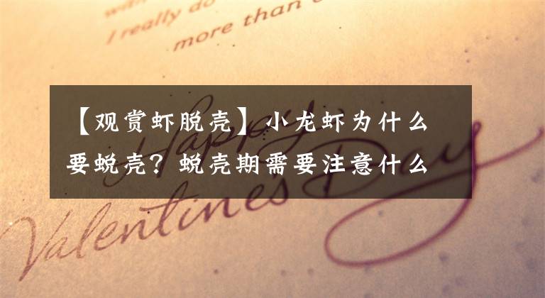 【观赏虾脱壳】小龙虾为什么要蜕壳？蜕壳期需要注意什么