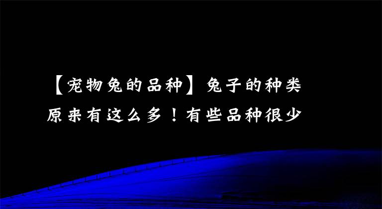 【宠物兔的品种】兔子的种类原来有这么多！有些品种很少见！