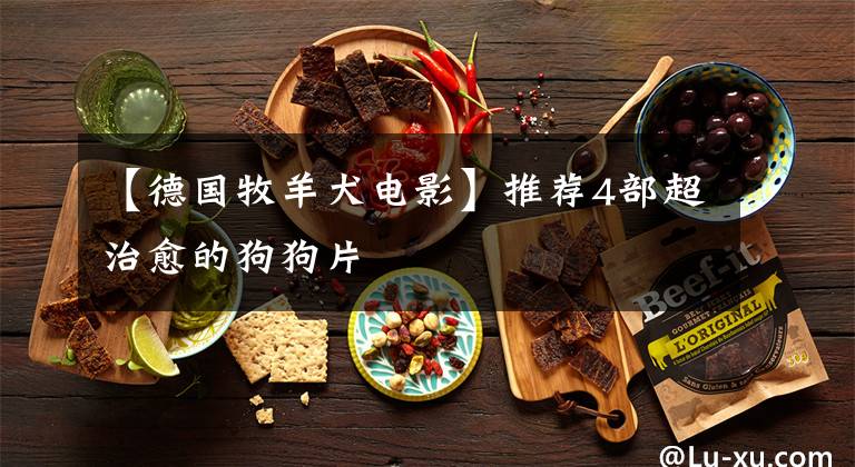 【德国牧羊犬电影】推荐4部超治愈的狗狗片