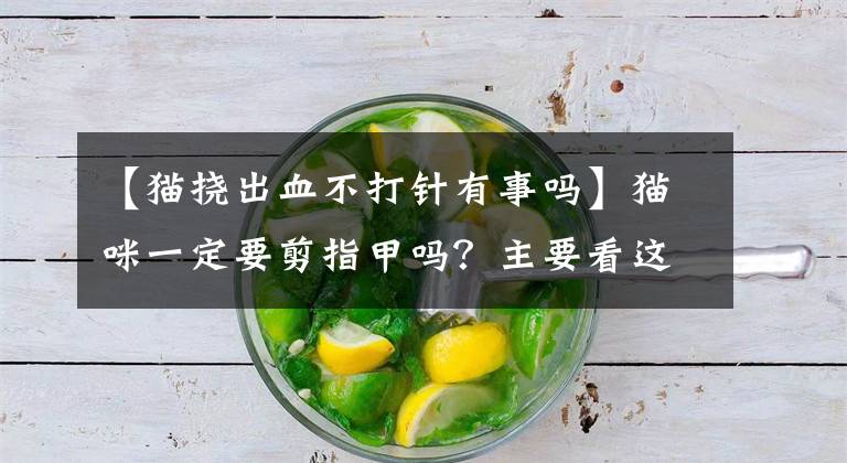 【猫挠出血不打针有事吗】猫咪一定要剪指甲吗？主要看这4点...