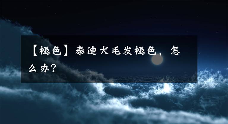 【褪色】泰迪犬毛发褪色，怎么办？