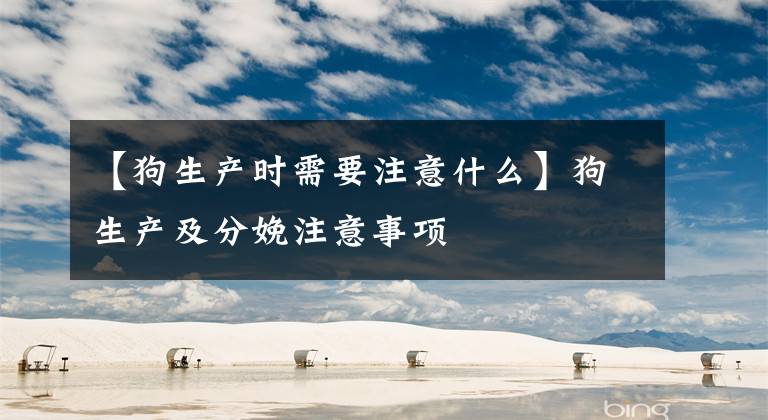 【狗生产时需要注意什么】狗生产及分娩注意事项