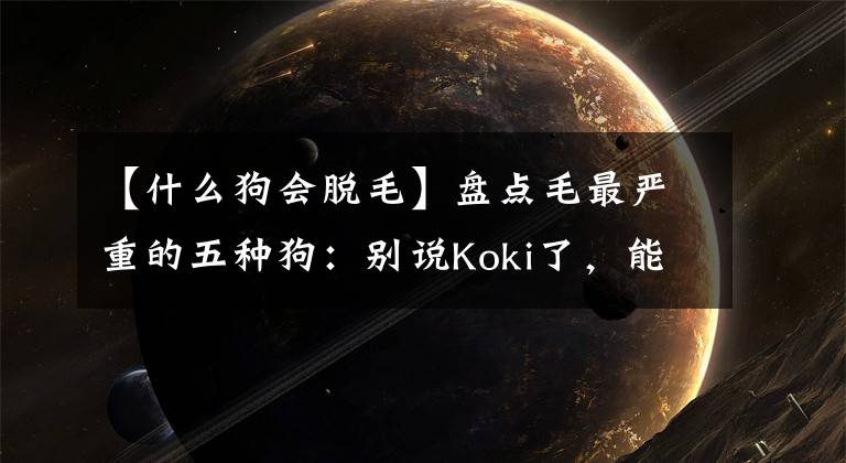【什么狗会脱毛】盘点毛最严重的五种狗:别说Koki了,能织出图五年掉下来的毛衣!