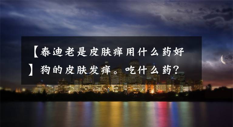 【泰迪老是皮肤痒用什么药好】狗的皮肤发痒。吃什么药？