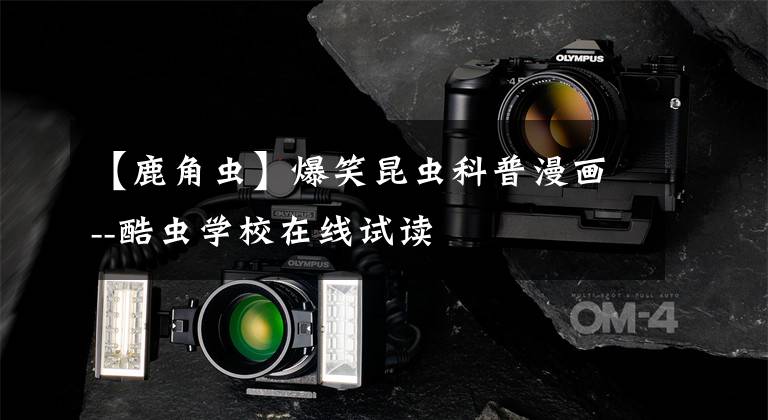 【鹿角虫】爆笑昆虫科普漫画--酷虫学校在线试读