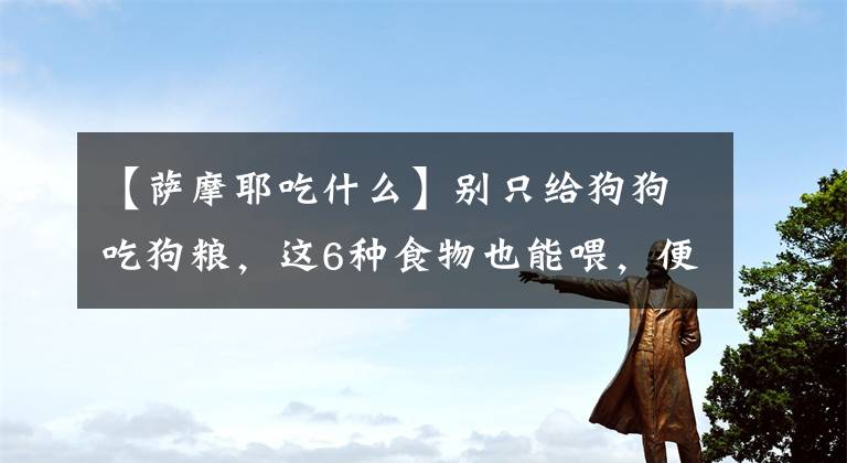 【萨摩耶吃什么】别只给狗狗吃狗粮，这6种食物也能喂，便宜又健康