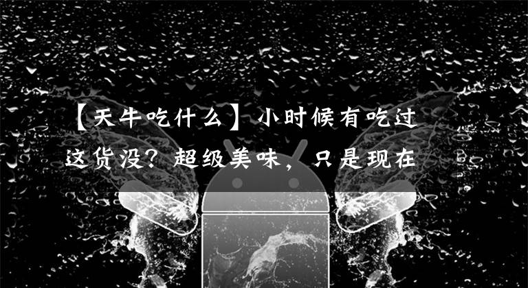 【天牛吃什么】小时候有吃过这货没？超级美味，只是现在很少见了