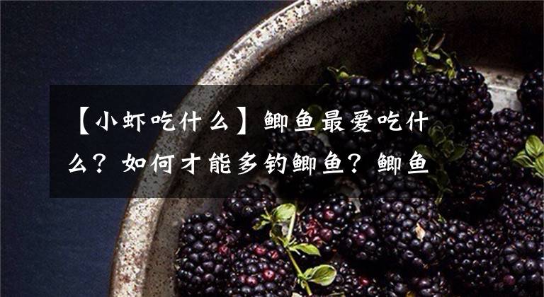 【小虾吃什么】鲫鱼最爱吃什么？如何才能多钓鲫鱼？鲫鱼的觅食习性和垂钓方法