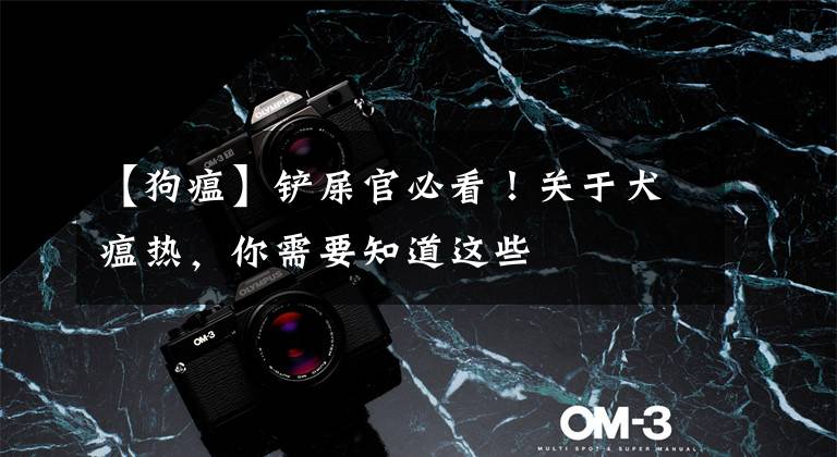 【狗瘟】铲屎官必看!关于犬瘟热,你需要知道这些