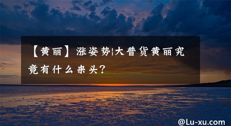 【黄丽】涨姿势|大普货黄丽究竟有什么来头？