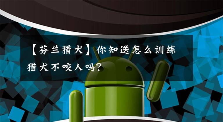 【芬兰猎犬】你知送怎么训练猎犬不咬人吗？