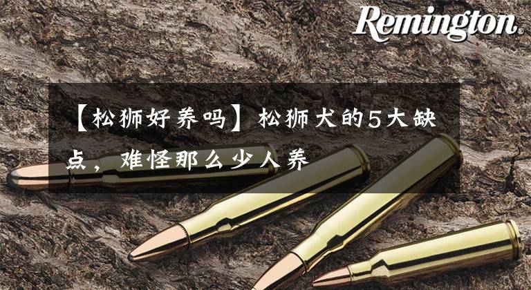 【松狮好养吗】松狮犬的5大缺点，难怪那么少人养