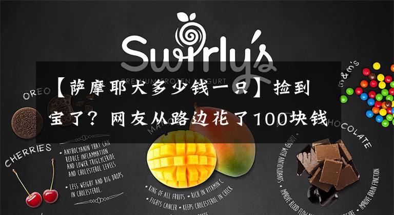 【萨摩耶犬多少钱一只】捡到宝了?网友从路边花了100块钱,买了只萨摩耶