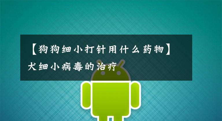 【狗狗细小打针用什么药物】犬细小病毒的治疗