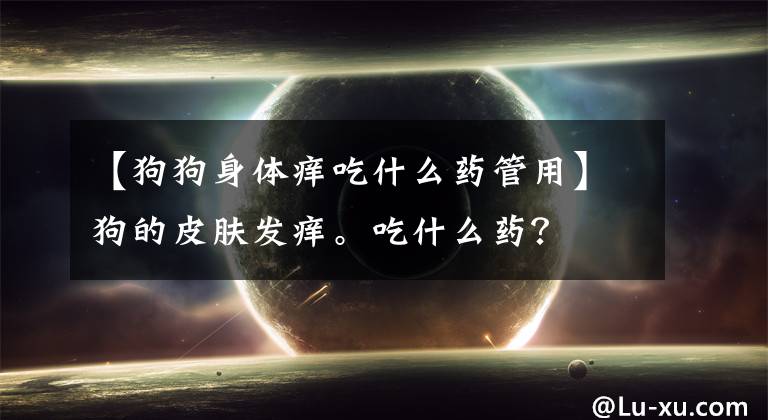 【狗狗身体痒吃什么药管用】狗的皮肤发痒。吃什么药?