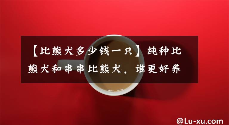 【比熊犬多少钱一只】纯种比熊犬和串串比熊犬，谁更好养？