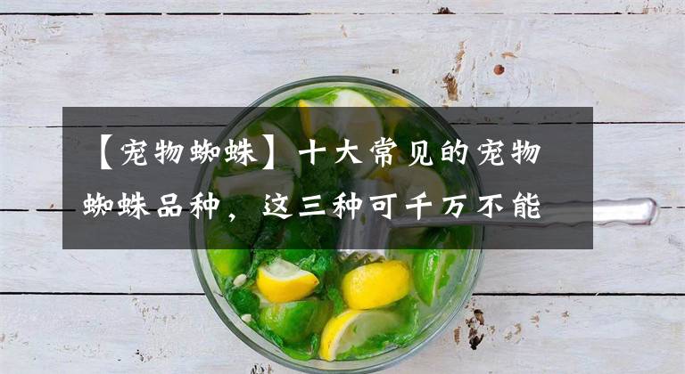 【宠物蜘蛛】十大常见的宠物蜘蛛品种,这三种可千万不能拿手上把玩