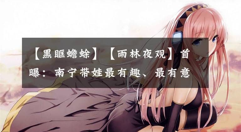 【黑眶蟾蜍】【雨林夜观】首曝：南宁带娃最有趣、最有意义的夜间活动