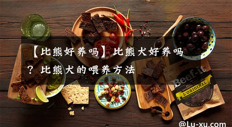 【比熊好养吗】比熊犬好养吗？比熊犬的喂养方法