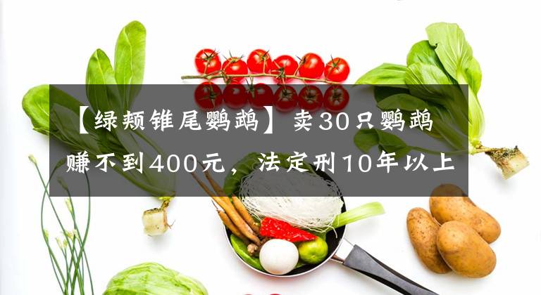【绿颊锥尾鹦鹉】卖30只鹦鹉赚不到400元,法定刑10年以上?处理结果让她当场大哭