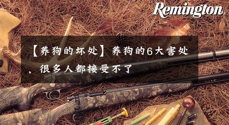 【养狗的坏处】养狗的6大害处,很多人都接受不了