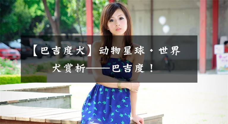 【巴吉度犬】动物星球·世界名犬赏析——巴吉度!