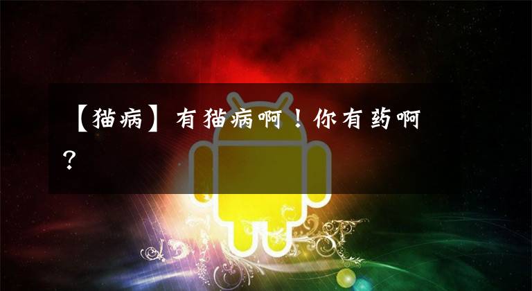 【猫病】有猫病啊！你有药啊？