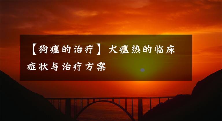 【狗瘟的治疗】犬瘟热的临床症状与治疗方案