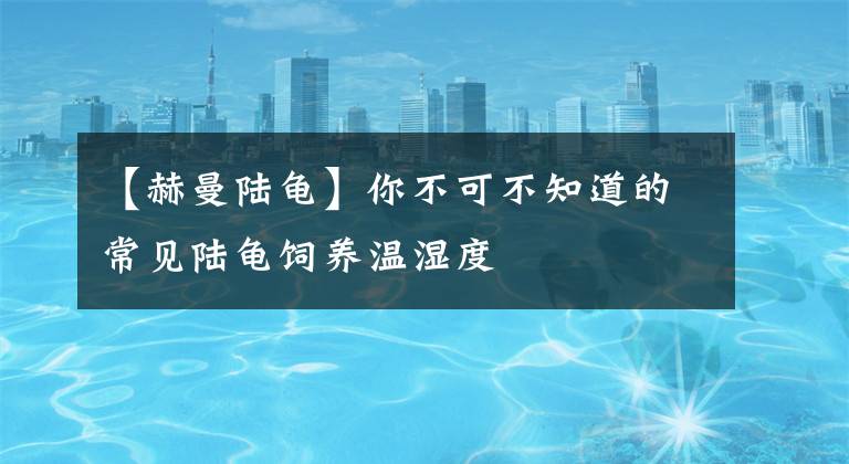 【赫曼陆龟】你不可不知道的常见陆龟饲养温湿度