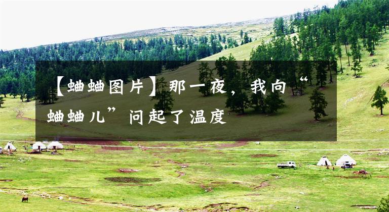 【蛐蛐图片】那一夜,我向“蛐蛐儿”问起了温度