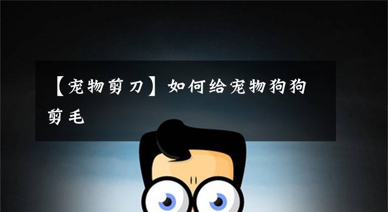 【宠物剪刀】如何给宠物狗狗剪毛