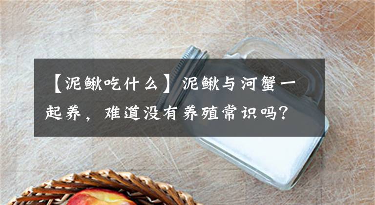 【泥鳅吃什么】泥鳅与河蟹一起养,难道没有养殖常识吗?养殖户:收入可以翻倍